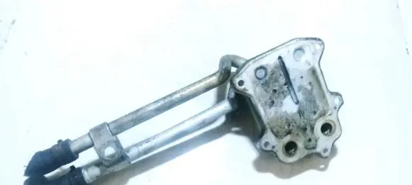 Volkswagen Golf V Engine oil radiator 