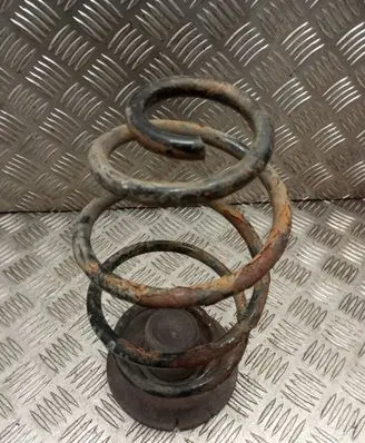 Opel Astra G Rear coil spring