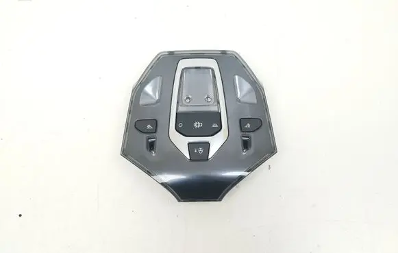 Citroen DS5 Front seat light 96702429 2244 N100300