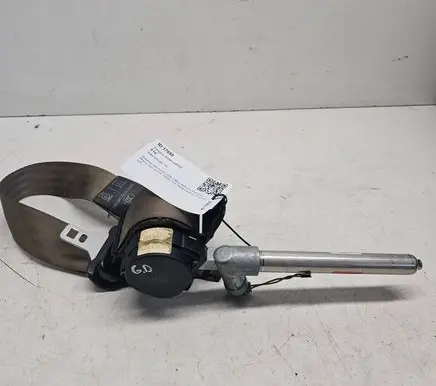 Rear seatbelt