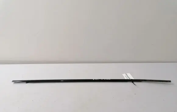 BMW X6 E71 Front door glass trim molding 1234567