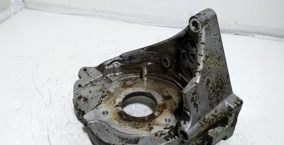 Peugeot 206 Fuel pump bracket 96389217