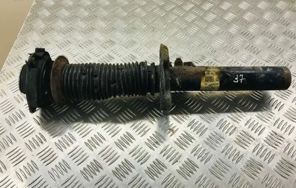 Volkswagen PASSAT B6 Front shock absorber/damper 3C0413031