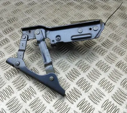 Tesla Model S Engine bonnet/hood hinges 102928500C