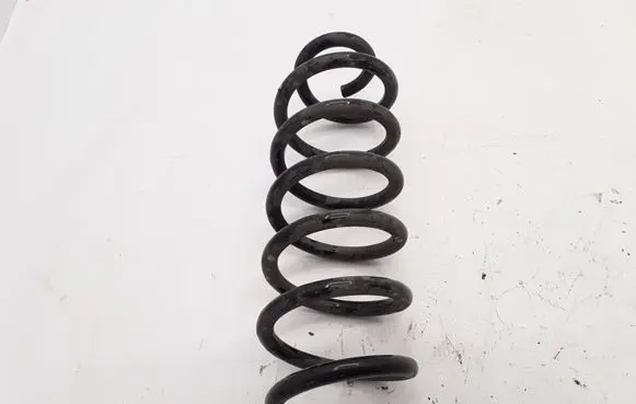 Renault Kadjar Rear coil spring 550204EA3B
