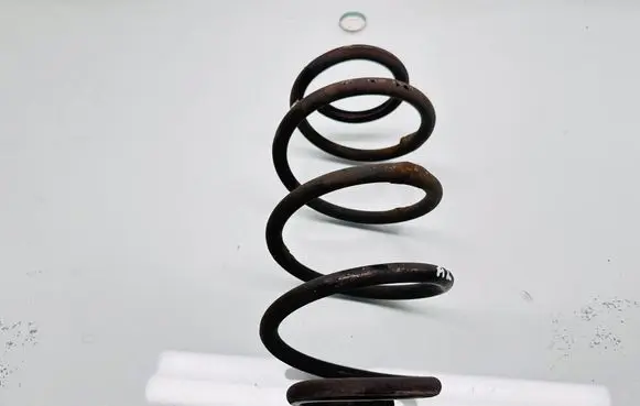 Rear coil spring