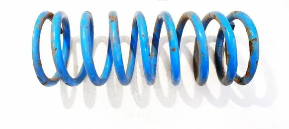 Land Rover Discovery Rear coil spring
