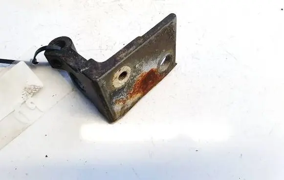 Renault Laguna II Rear door lower hinge 8d0831402b