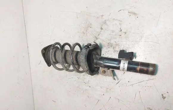 Ford C-MAX I Front shock absorber with coil spring AGG124MT
