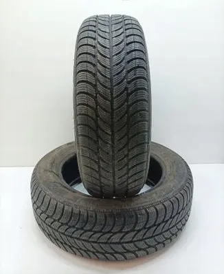 Renault Scenic II - Grand scenic II R15 winter tire 