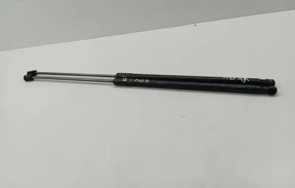 Ford C-MAX II Front bonnet/hood damper/strut
