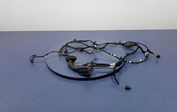 BMW X5 E53 Other wiring loom 8714811