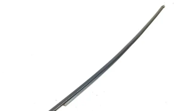 Citroen DS5 Front door glass trim molding