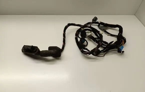 Front door wiring loom