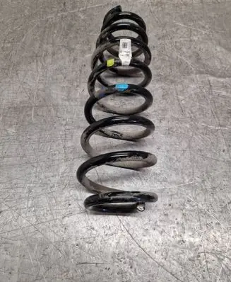 Rear coil spring