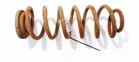 Volkswagen PASSAT B6 Rear coil spring