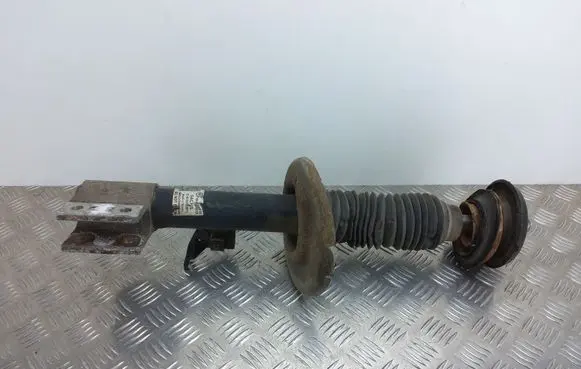 Peugeot Partner Front shock absorber/damper 824904003911