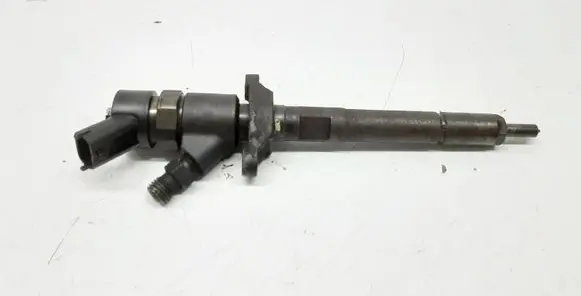 Citroen C5 Fuel injector 0445110259