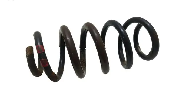 Rear coil spring
