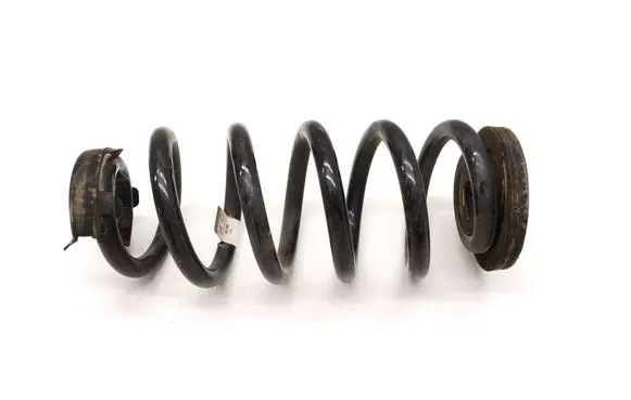 Volkswagen ID.3 Rear coil spring 1EA511103C