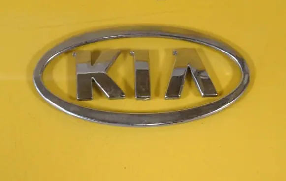 Manufacturer badge logo/emblem