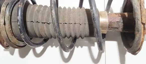 Toyota Yaris Front coil spring