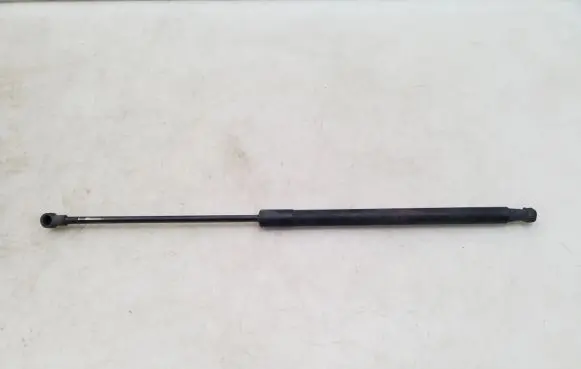 Nissan Qashqai Tailgate strut 90450JD01B