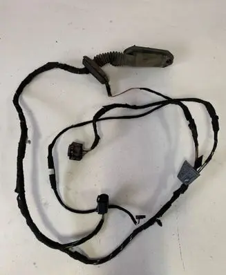 BMW 3 E46 Rear door wiring loom 6913084