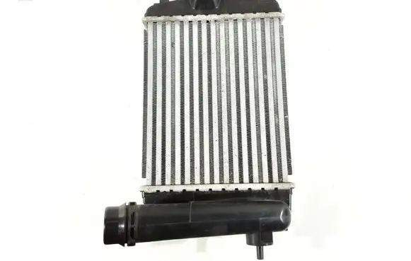 Nissan Juke II F16 Intercooler radiator 14461F270A 144961019R
