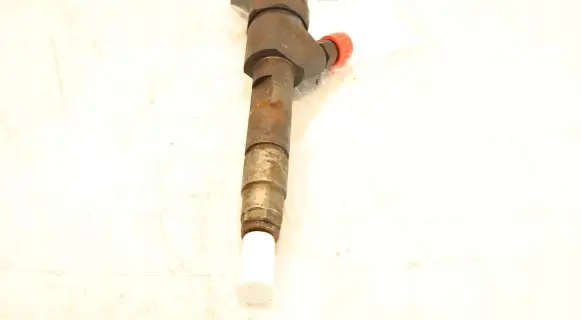 Renault Scenic I Fuel injector 0445110021