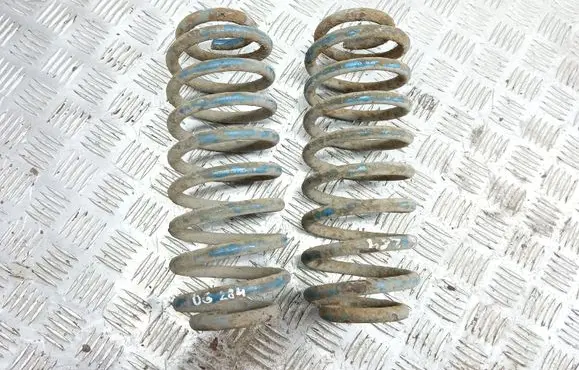 Volkswagen New Beetle Rear coil spring