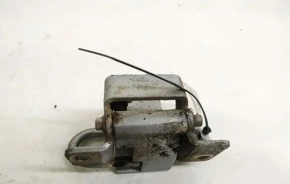 Rear door lower hinge