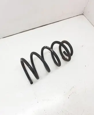 Hyundai Santa Fe Rear coil spring