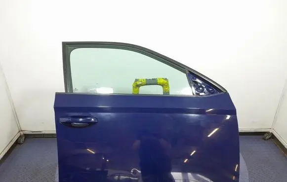 Skoda Fabia Mk3 (NJ) Front door