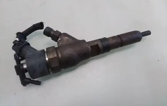 Citroen C5 Fuel injector 0445110076