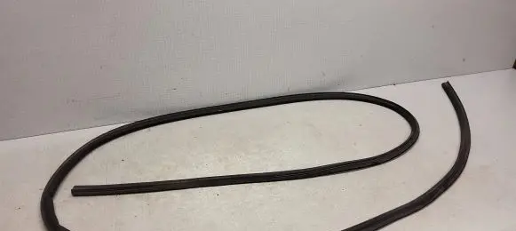 Ford Focus ST Rubber seal front door (on door) 