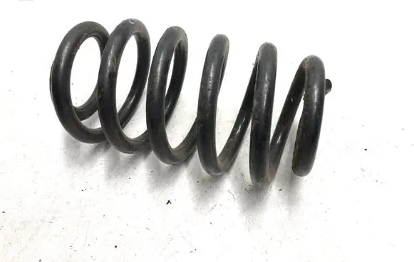 Rear coil spring