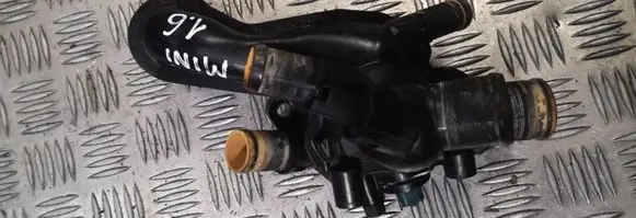 Thermostat/thermostat housing