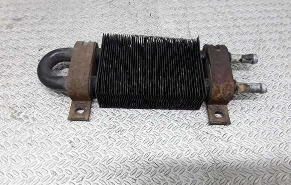Hyundai Santa Fe Power steering radiator 