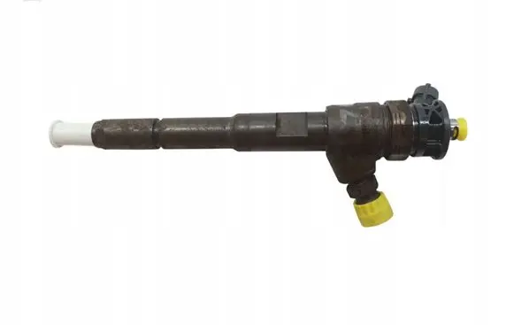 Dacia Dokker Fuel injector H8201108033