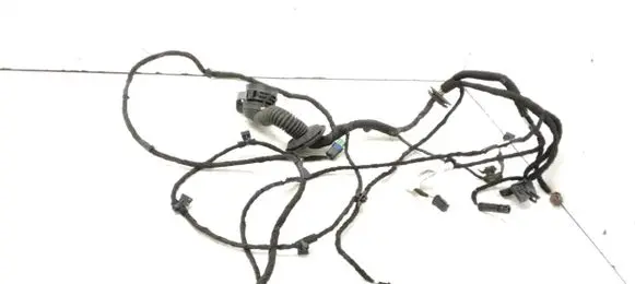 Citroen C6 Front door wiring loom 9663411580