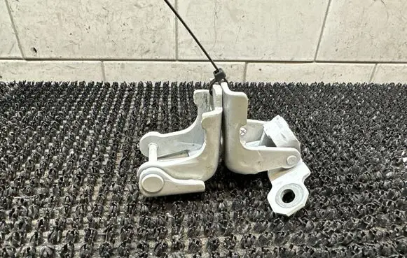 Renault Megane III Rear door hinge set 804000016RF 804200003RK