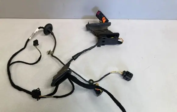 Rear door wiring loom