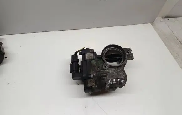 Opel Zafira B Throttle valve 48CPD1