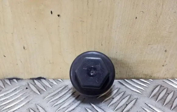 Opel Insignia A Original wheel cap 13398836