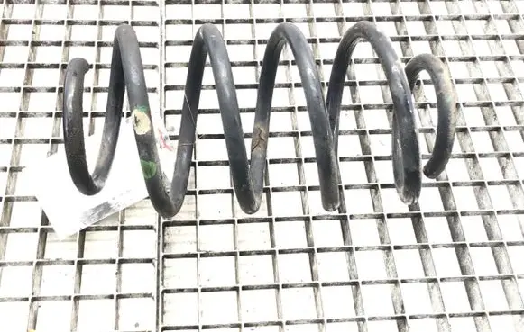 Front coil spring