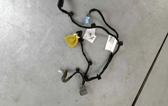 Rear door wiring loom