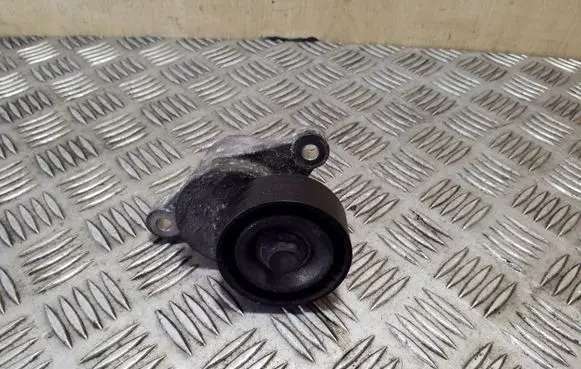 Citroen DS4 Generator/alternator belt tensioner 9801875280