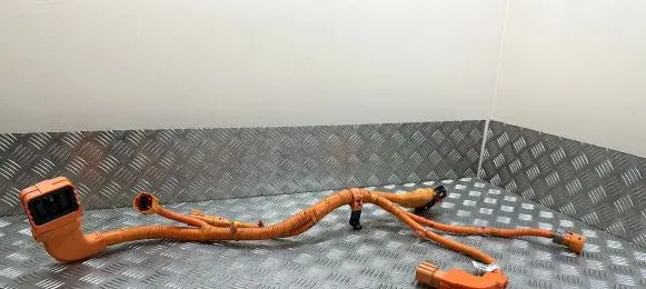 Hyundai Tucson IV NX4 Other wiring loom 91674CZ110