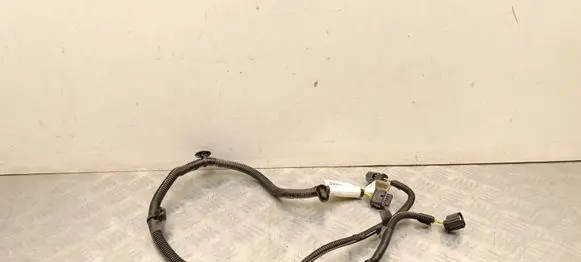 Citroen C4 III e-C4 Other wiring loom 9834135380